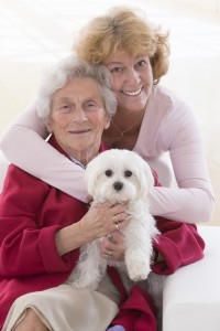 elderly estate planning